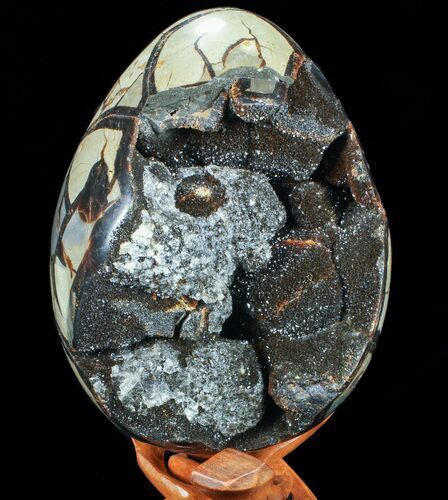 Septarian Dragon Egg Geode - Crystal Filled #73780